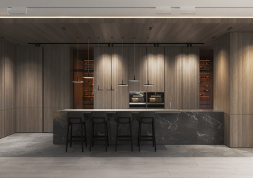 Nội thất hiện đại sang trọng với trang trí gỗ ốp