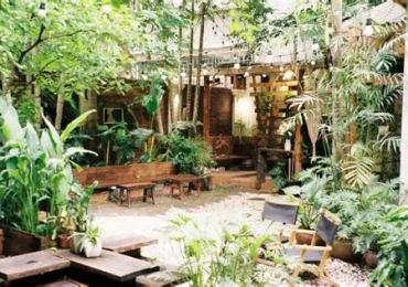 Ý tưởng thiết kế quán cafe sân vườn ấn tượng